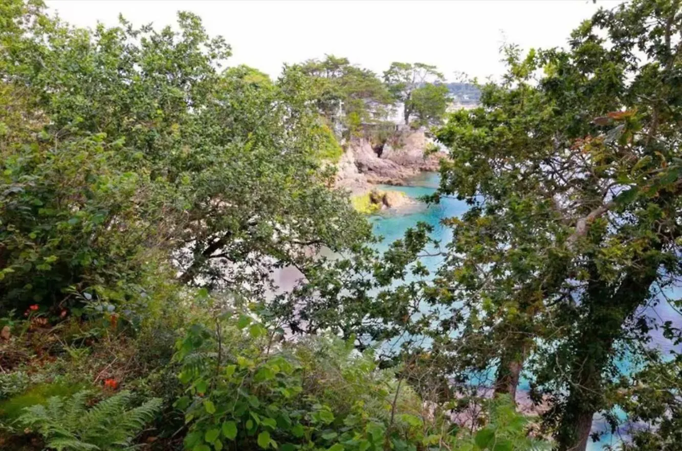 Ty Ker Aod - Villa Superbe Vue Mer Proche Plage Плугонвелен Дом отдыха